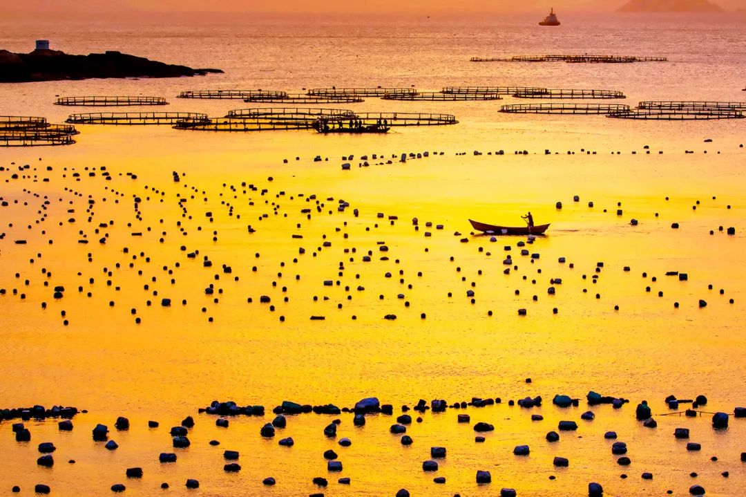 鲜到掉眉毛的宁波菜下饭,鲜得掉眉毛的海鲜面
