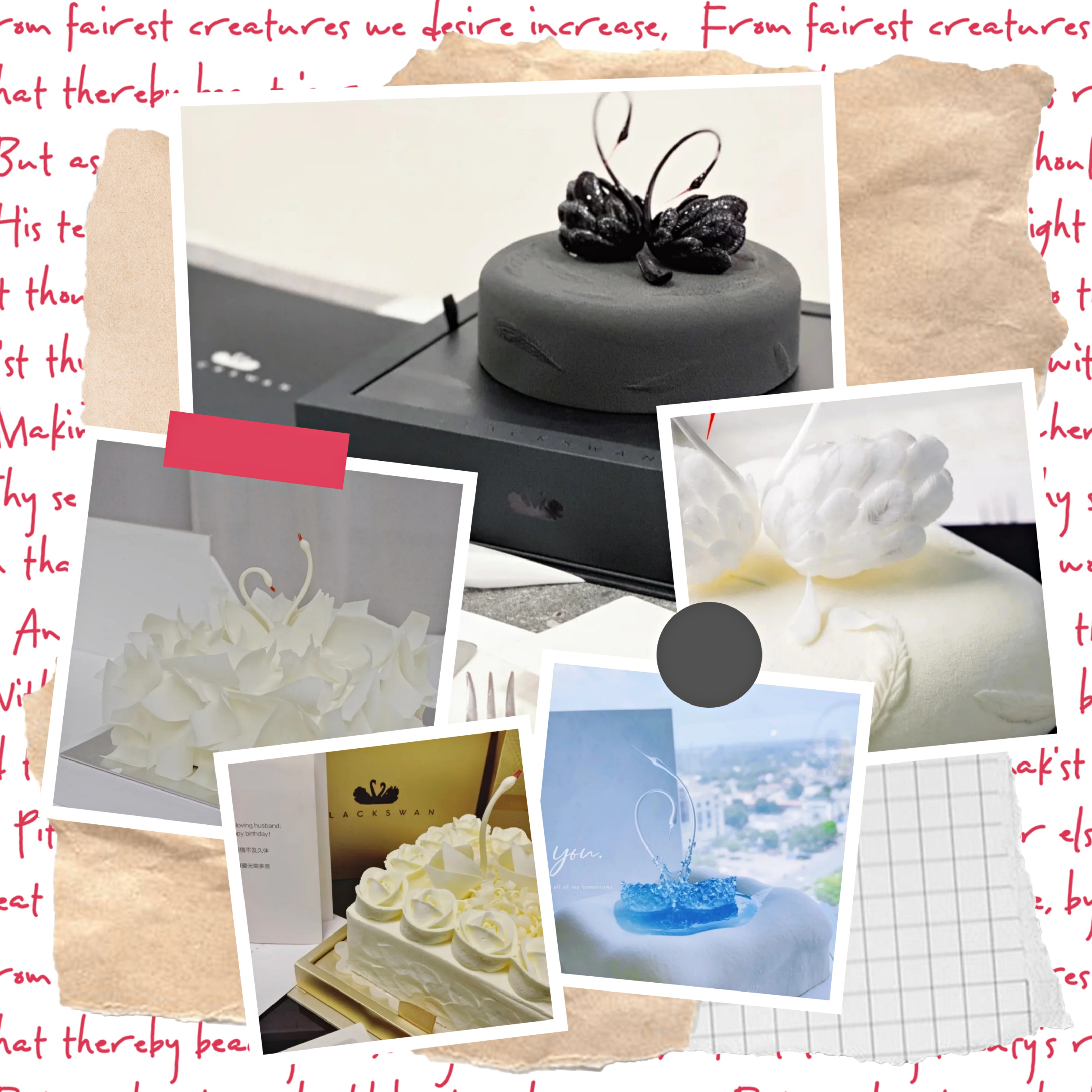 最贵的黑天鹅蛋糕价格表,黑天鹅网红蛋糕价格