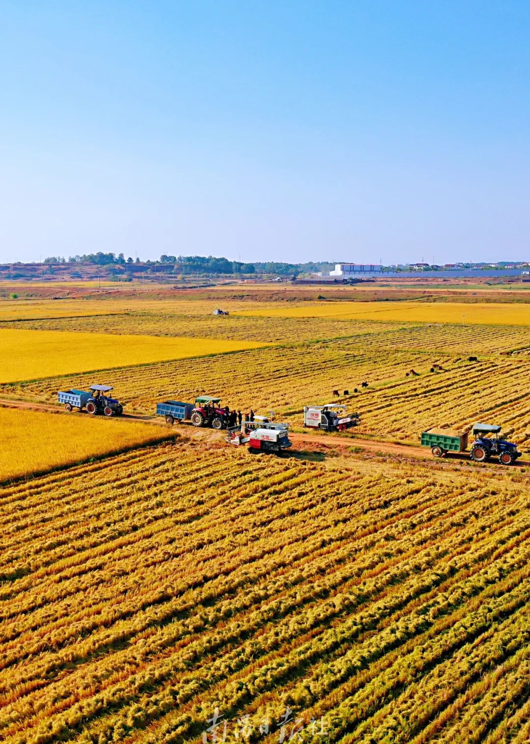 南昌的秋天文案,南昌的秋天闪闪发光