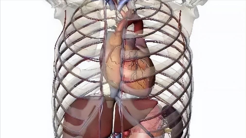 新冠特效药来瑞特韦管用吗,新冠特效药先诺特韦有用吗