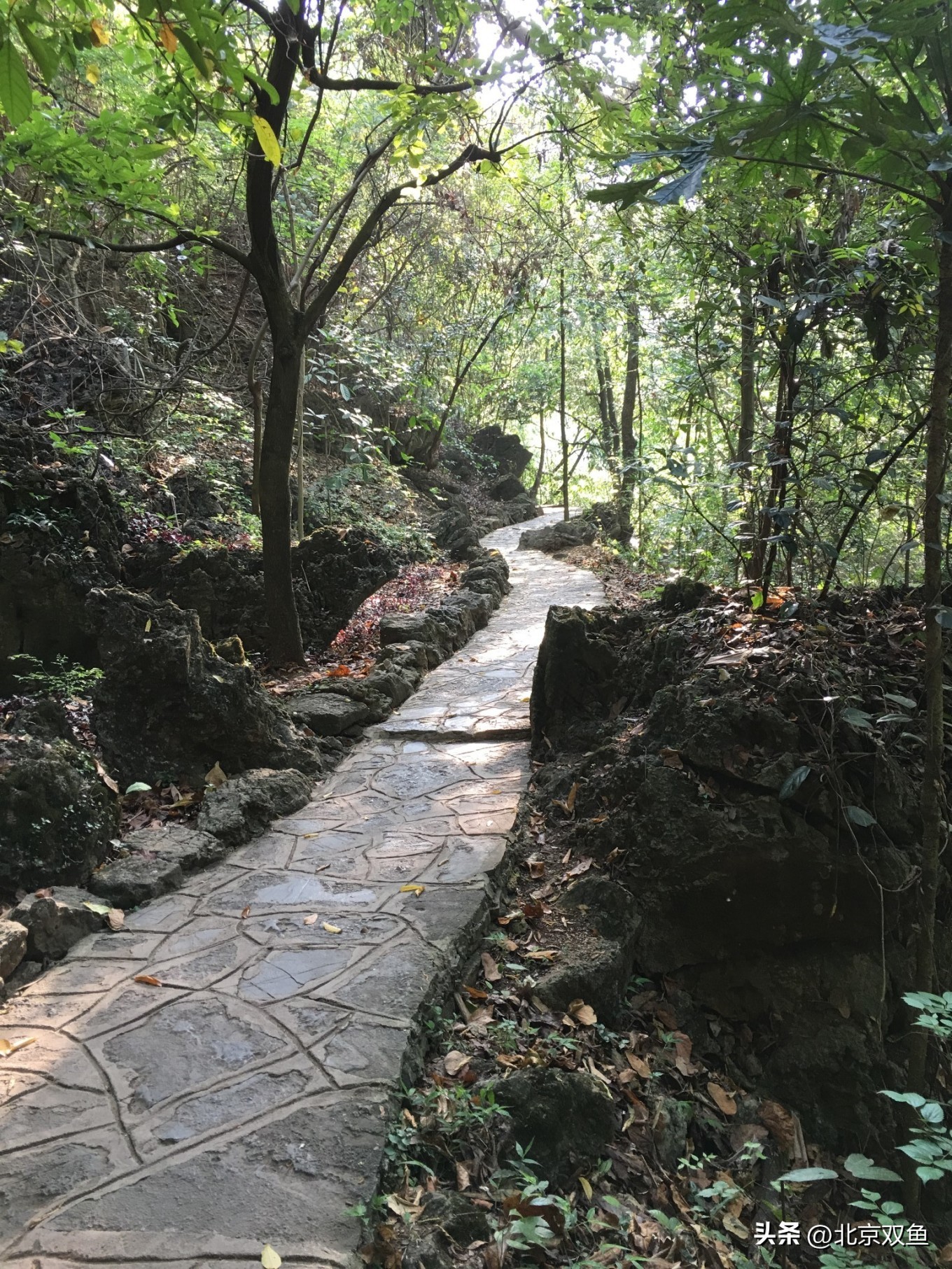 贵州黄果树最美的地方,贵州黄果树旅游攻略自由行