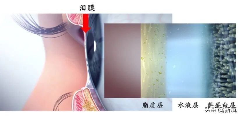 眼睛怎么才能变成星星眼,怎么让眼睛变星星眼