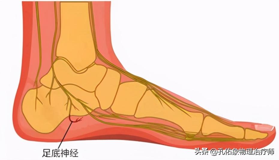 脚部信号透露健康问题,脚部出现这6种症状