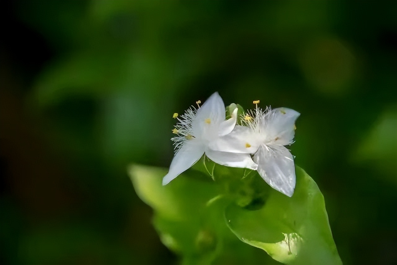 为何越来越多人退出同学群,退出同学群后的人会越来越少吗