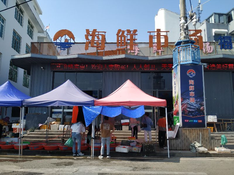 浙江蓝色的大海,浙江哪里可以看到蓝色的大海