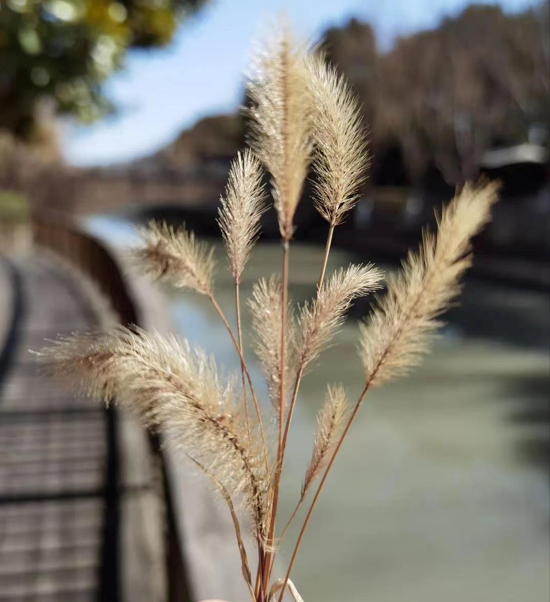 白金瀚宫别墅栋号分布图,白金瀚宫三期11层洋房