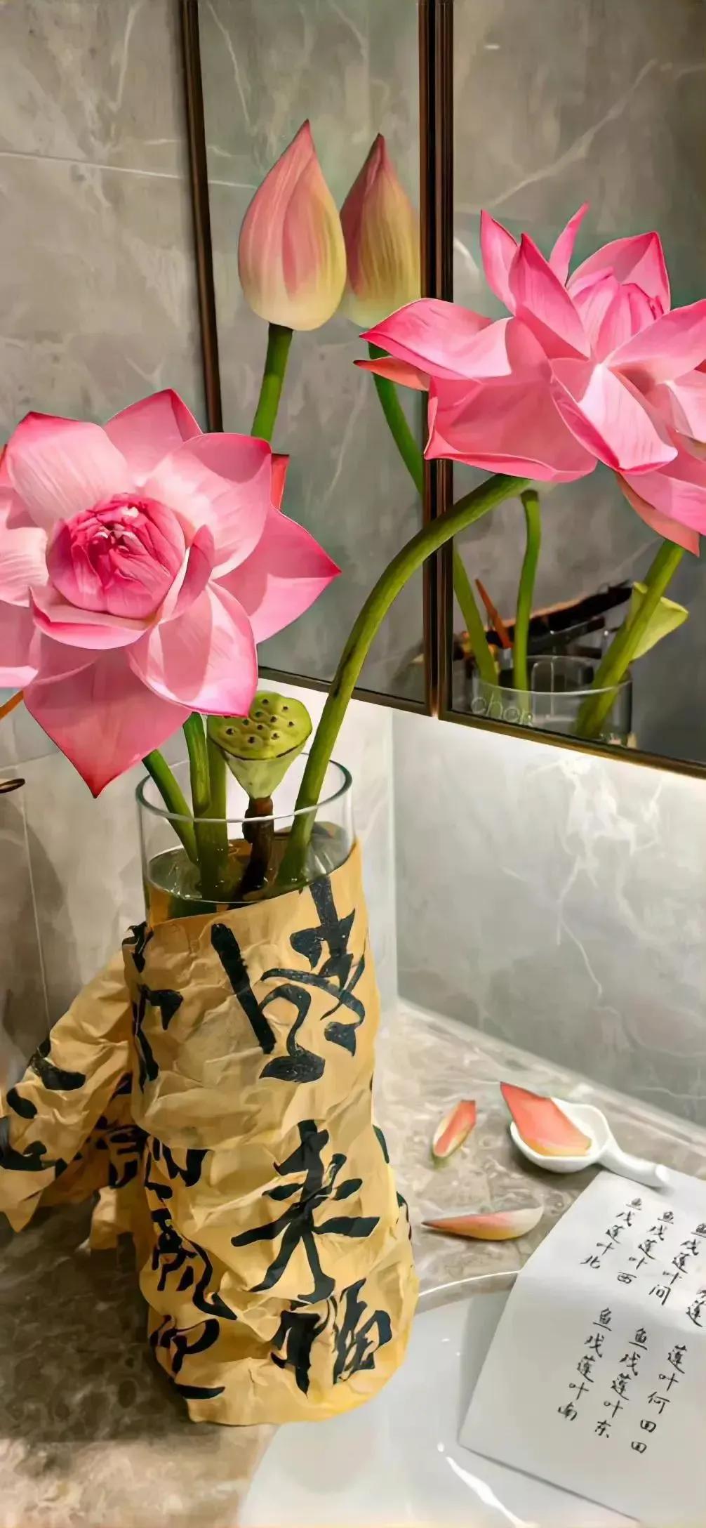 高清壁纸图片全屏干净高级,男士专用黑色美女全屏壁纸