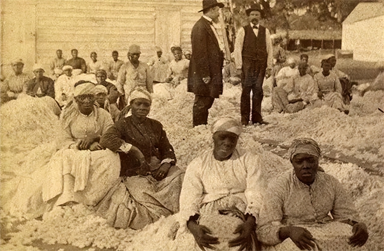 比鞭子、锁链、烙铁恐怖多了，为何轧棉机成为黑奴最痛恨的发明？