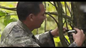 山村十大诡异怪事件,四川大山发现的怪物