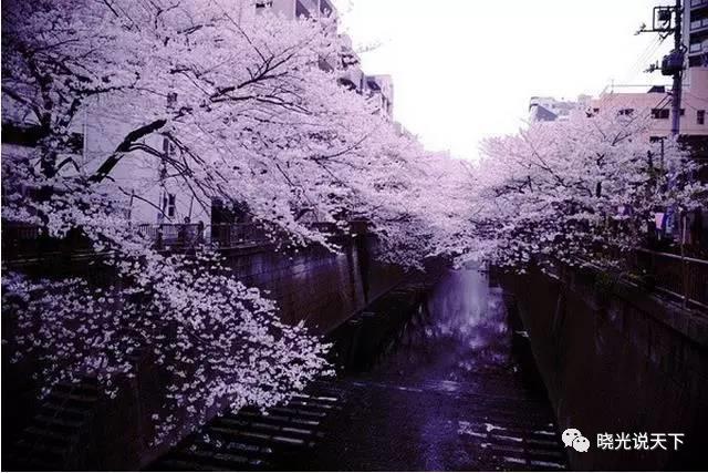 中日文化交流史导论,中日文化交流史视频