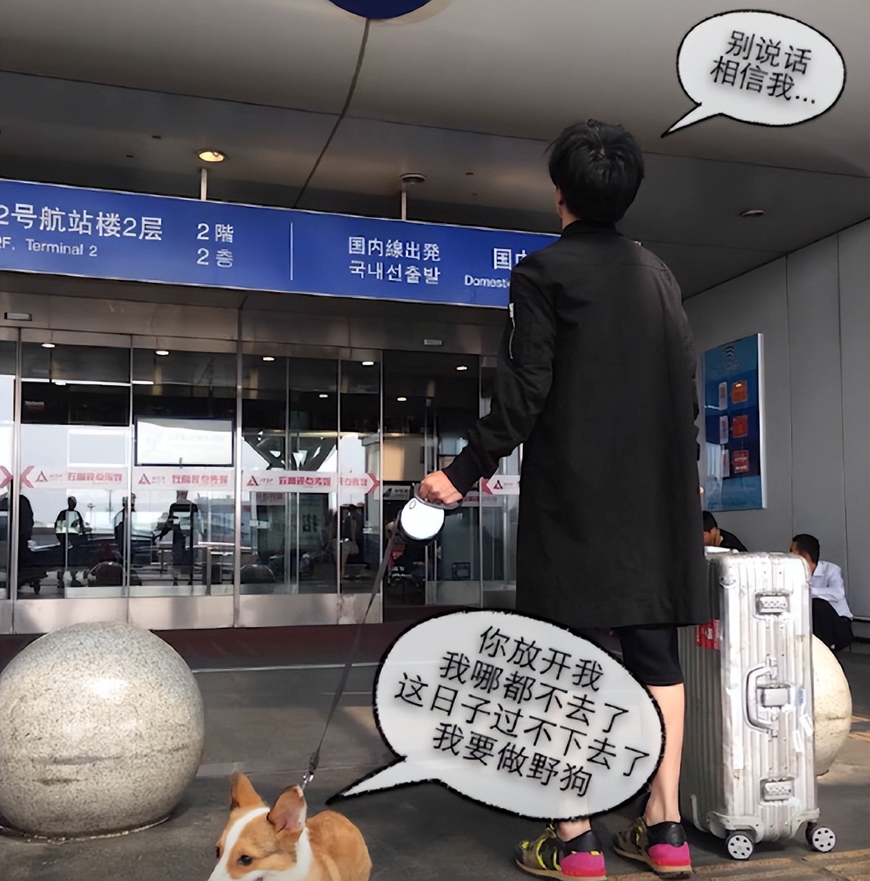 薛之谦离婚净身出户后创业,薛之谦离婚净身出户