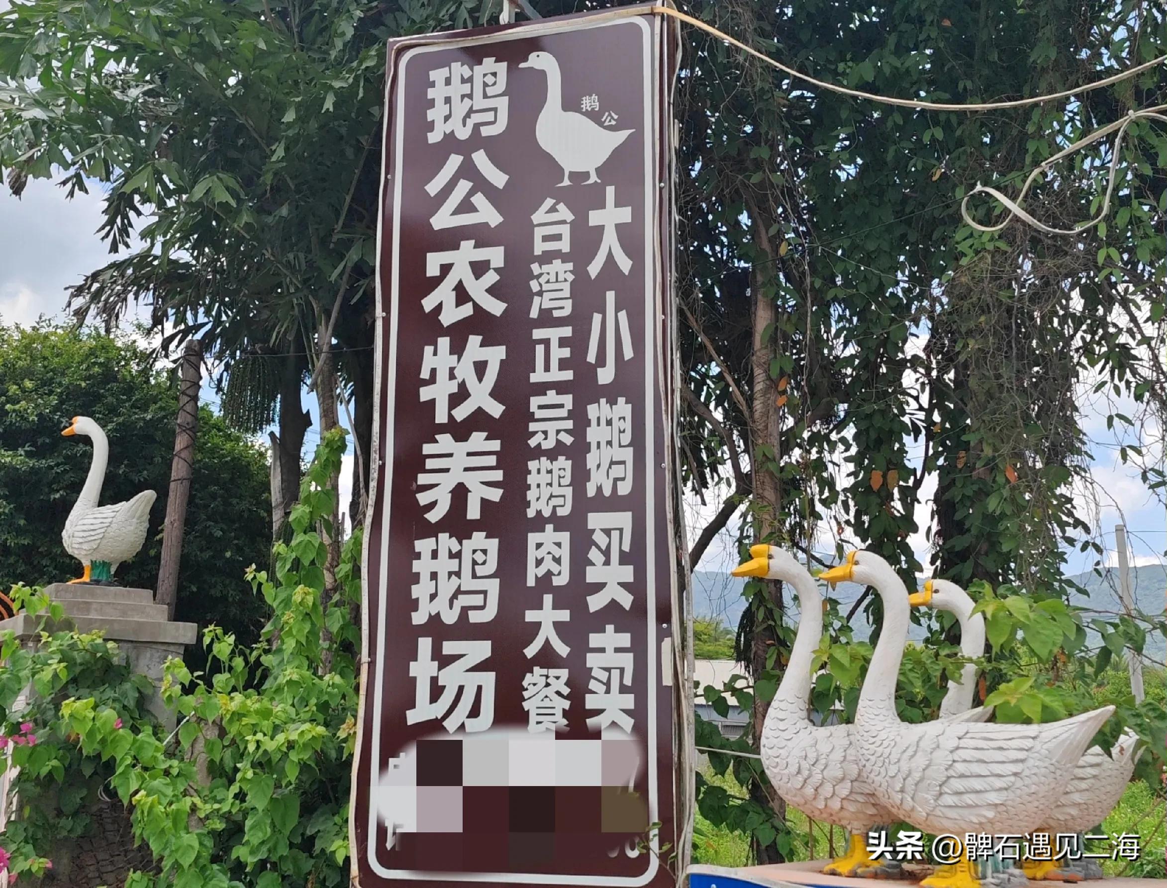 灌口鹅公馆订餐电话,灌口越尾山风景区