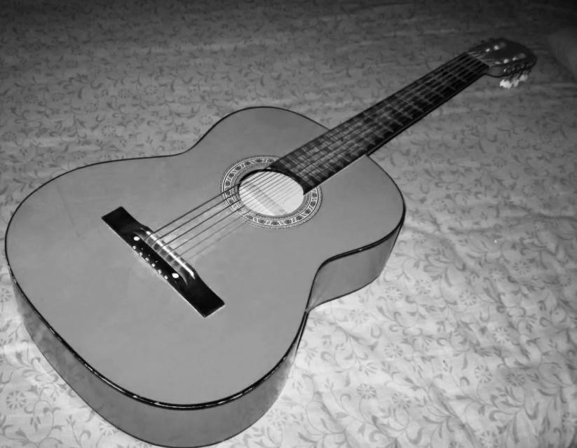 泰勒吉他的历史,泰勒吉他品牌哪一年创立的