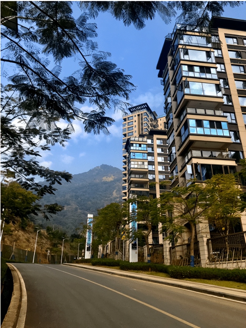 鏁f枃鑸媿,鏁f枃绔欏湪灞遍《閬ユ湜骞冲師