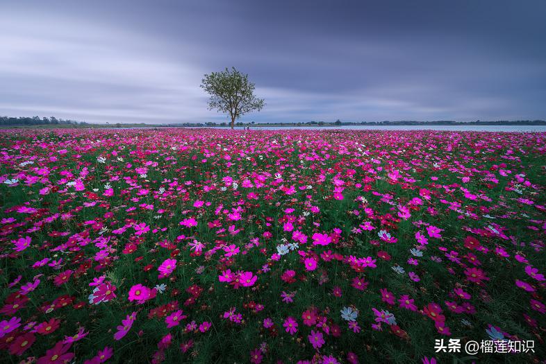 中国有多个位列第一的人、事、物你知道哪些呢？