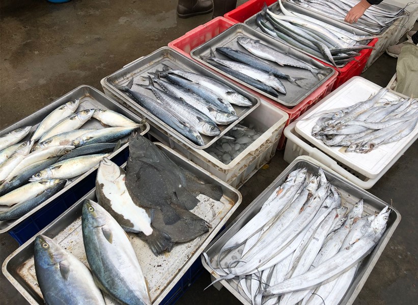 人工养殖鱼哪种鱼能放心吃,市场上的鱼哪些人工不能养殖