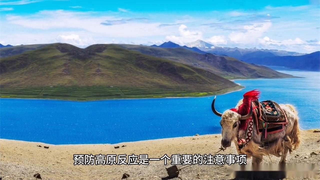 去西藏旅游高原反应注意事项,藏地旅游出行攻略