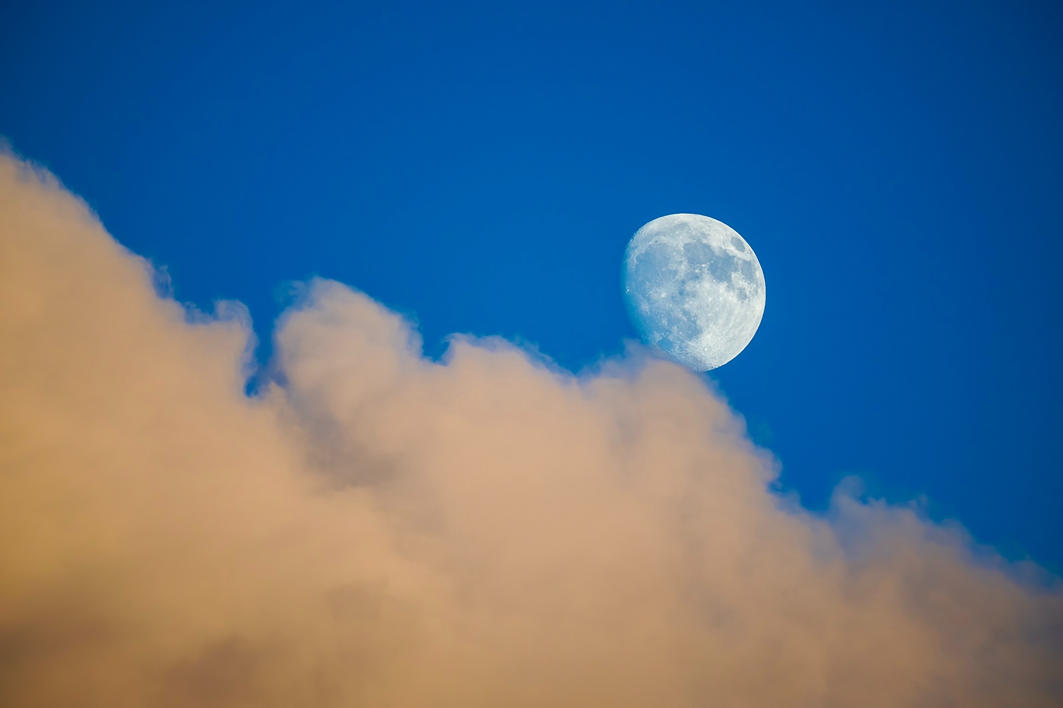 领略“可汗之湖”尼康小三元*疆新**试用手记