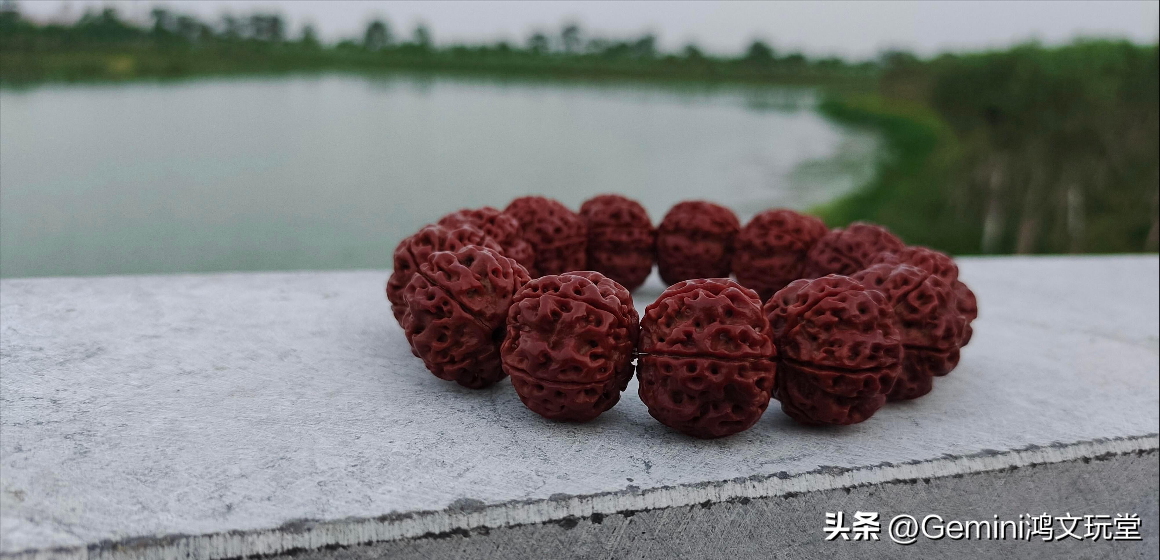 金刚菩提子用刷子刷起什么作用,金刚菩提子用什么刷子刷比较好