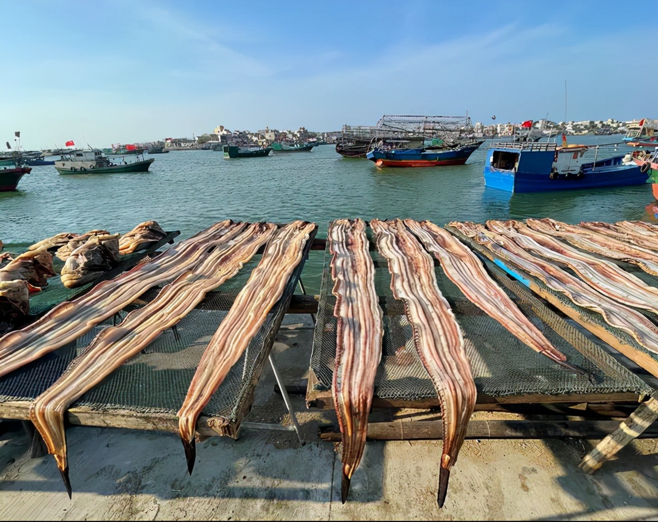 海南印象：女人太能干了，海边晒的大鱼*你干**认识吗？