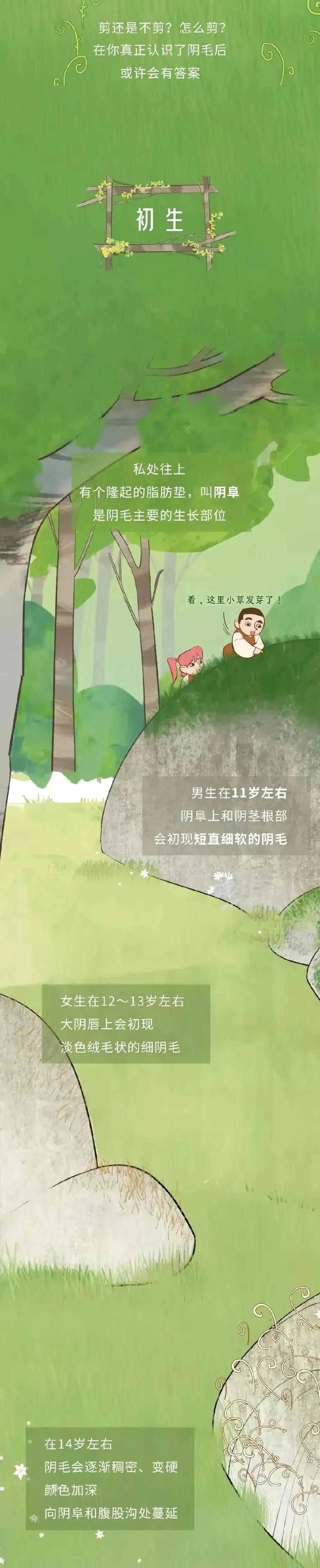 人类阴毛从出生到脱落的全过程