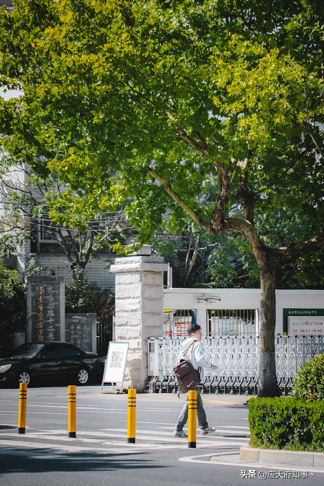 南京再回来是绿码吗,南京站到察哈尔路公交车