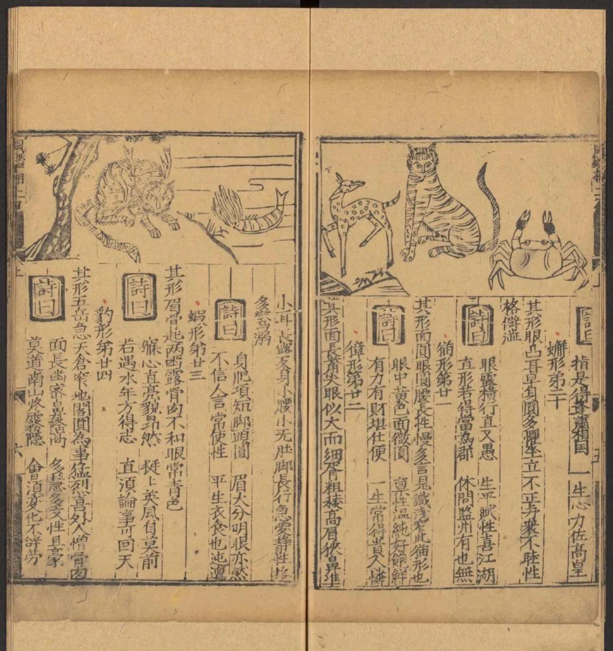 鎰熺煡鍘嗗彶鍝佸懗鏂囧寲缁忓吀,楹荤鐩告湳