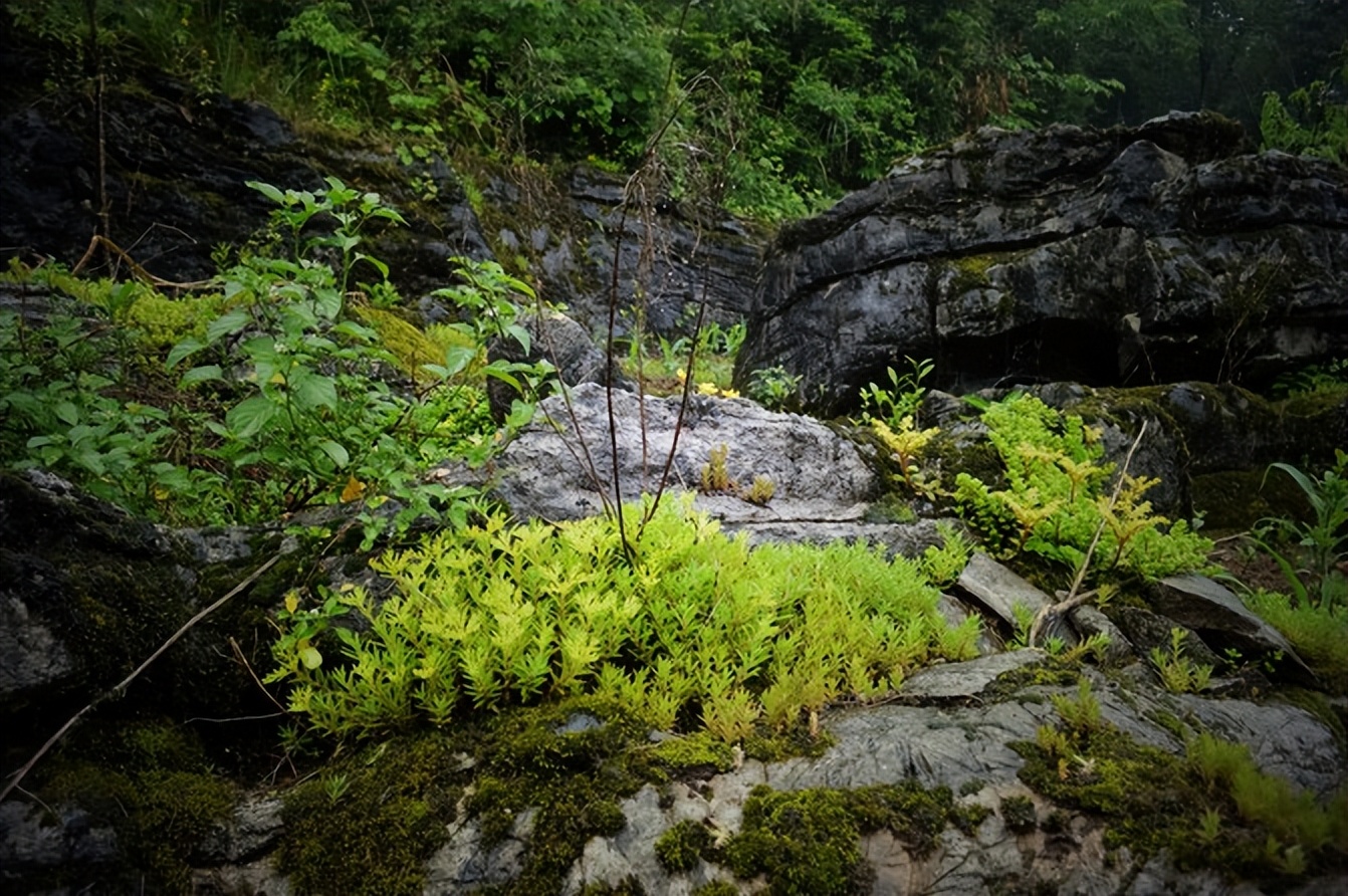 宣恩一座小城,湖北宣恩美丽的小城