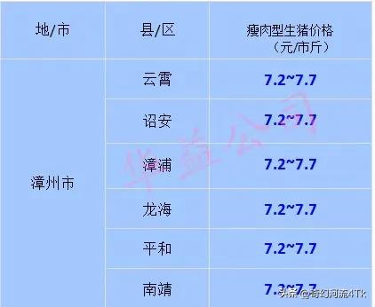 猪价快讯福建各地区猪价,猪价今日福建