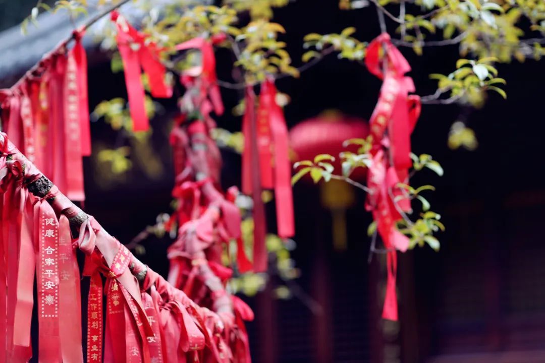 遂昌吃喝玩乐的地方,遂昌千佛山旅游度假