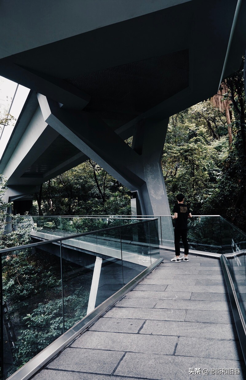 罗生门和黄粱梦,罗生门香港live