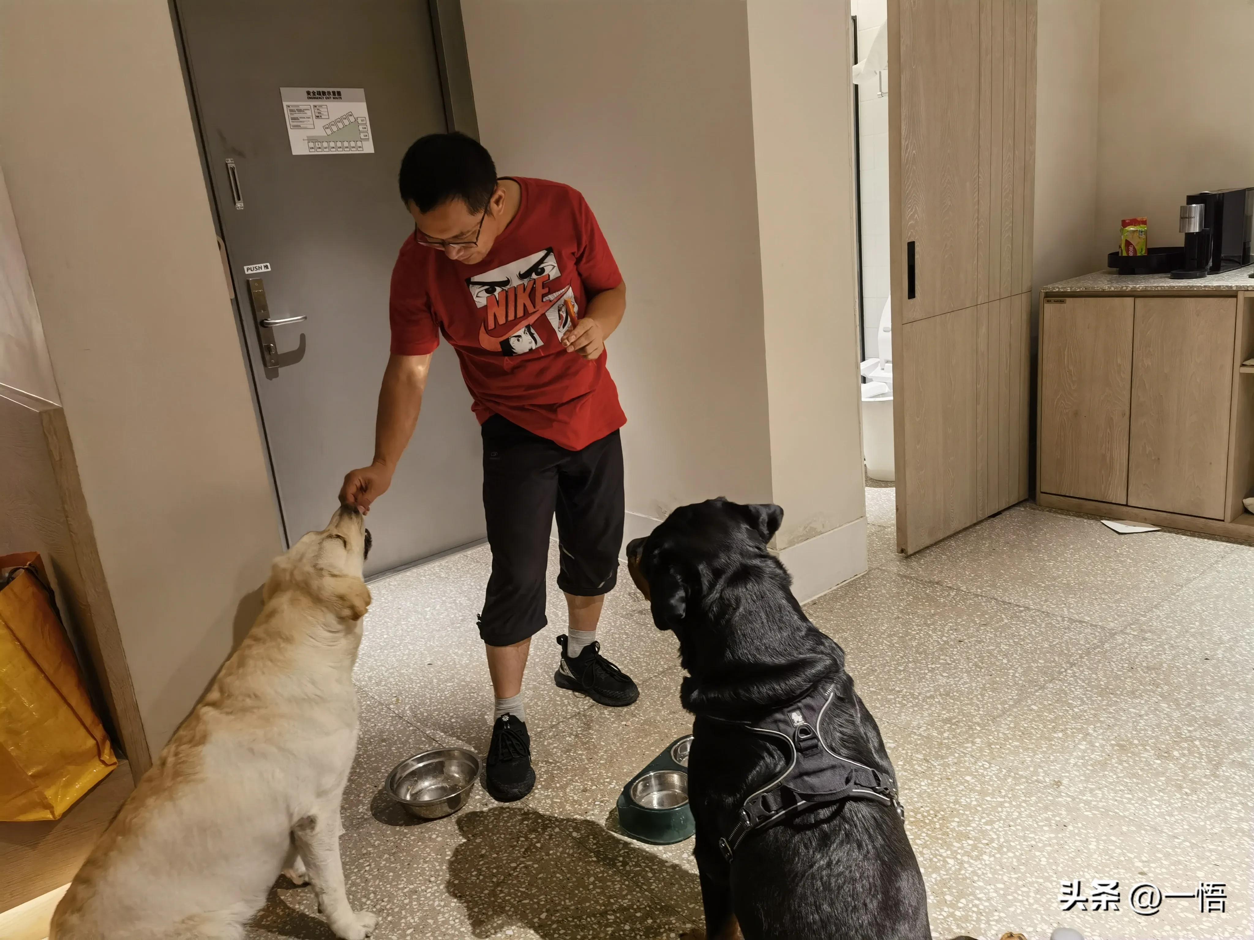 2023上海到秦皇岛承德十日游第四天：看阿那亚的海，逢犬舍的安娜