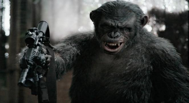 猩球崛起是哪种类型的猩猩,猩球崛起分别是哪种猩猩