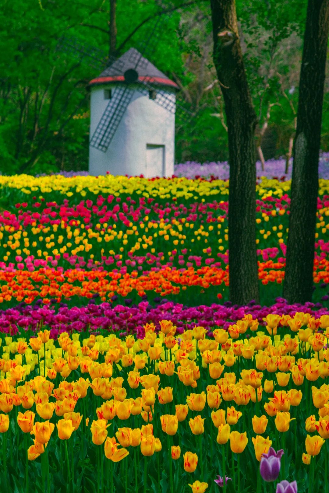 济南近郊旅游专线,济南开通的几条旅游线公交不错