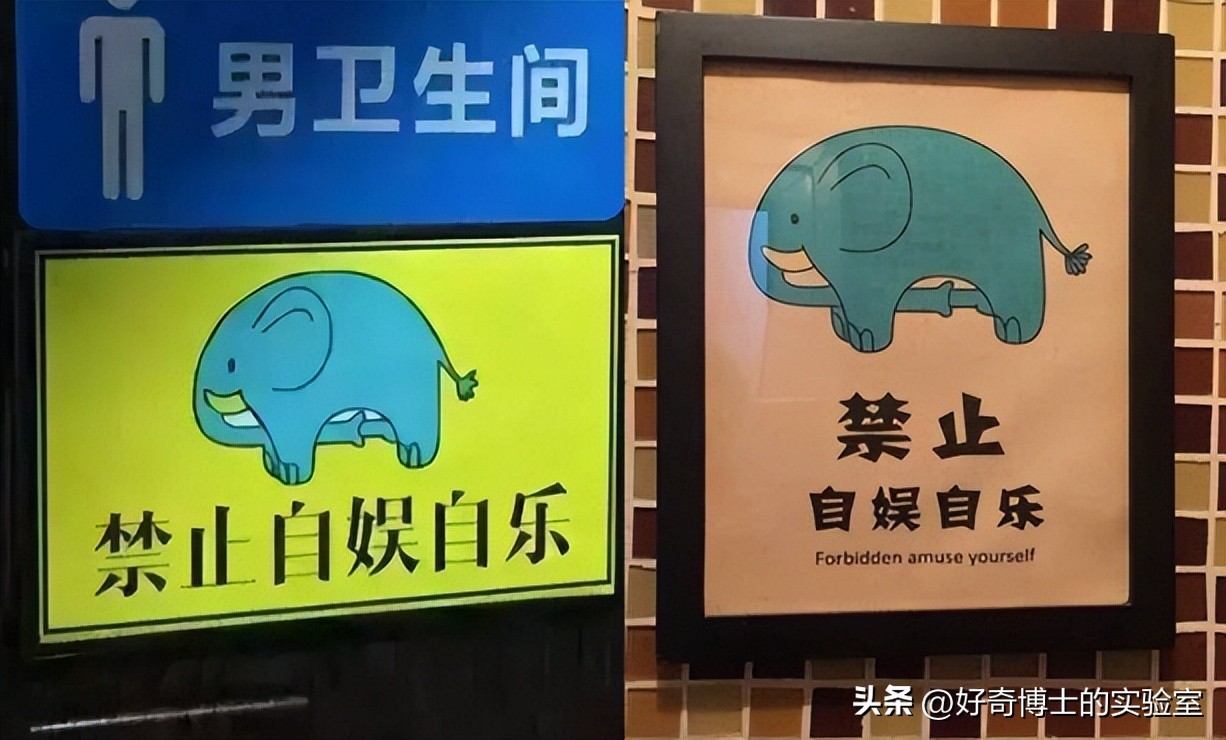 动物是怎么飞起来的,动物怎样飞行时感觉方向