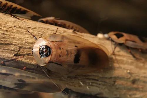 浦东亲子游玩地方,浦东遛娃好去处室内