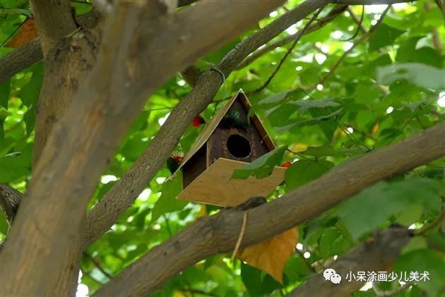 小鸟的家绘画教程,小鸟的家怎么画