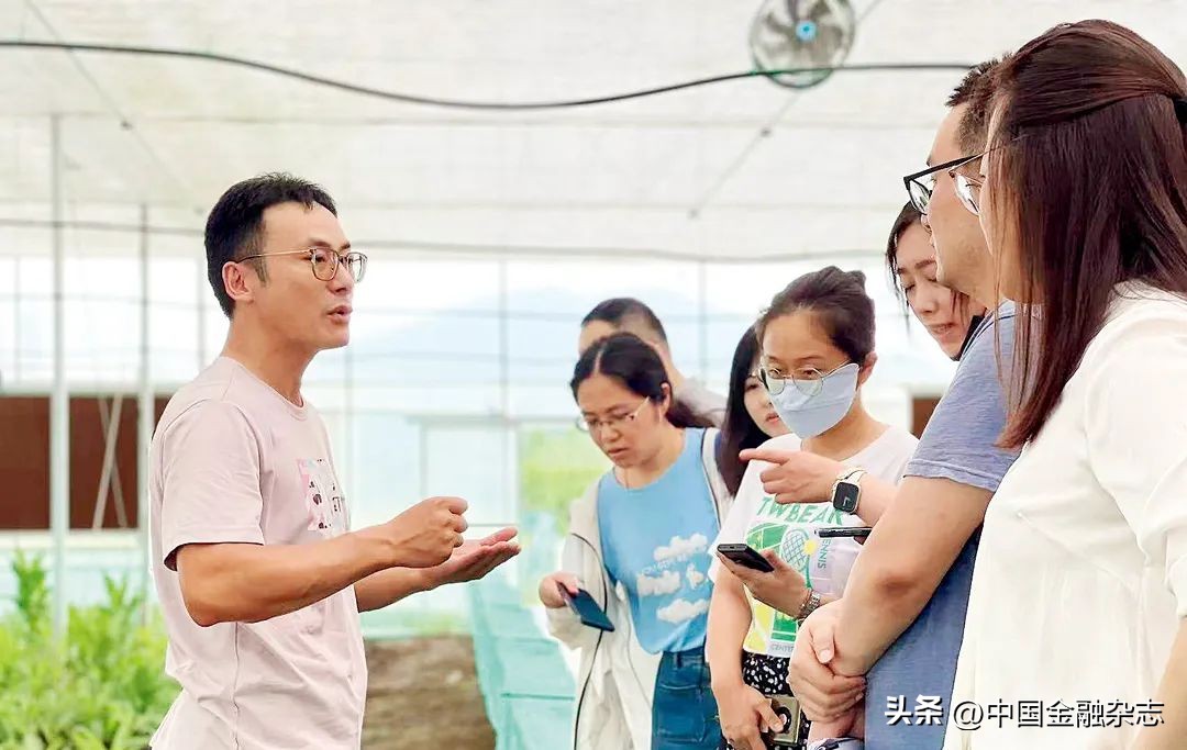 中国金融助力企业,金融支持浙江共同富裕分析