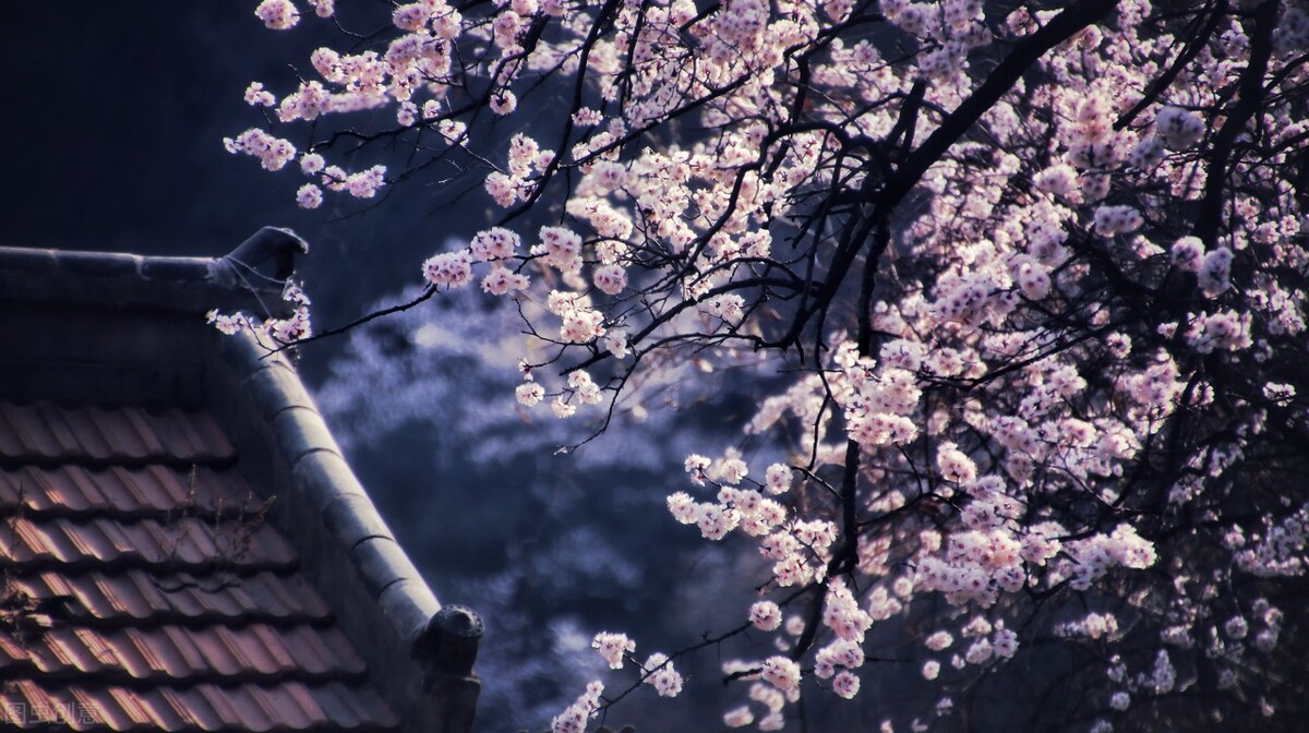 亲密沟通的六个建议,学会这四个沟通技巧让你受益终身