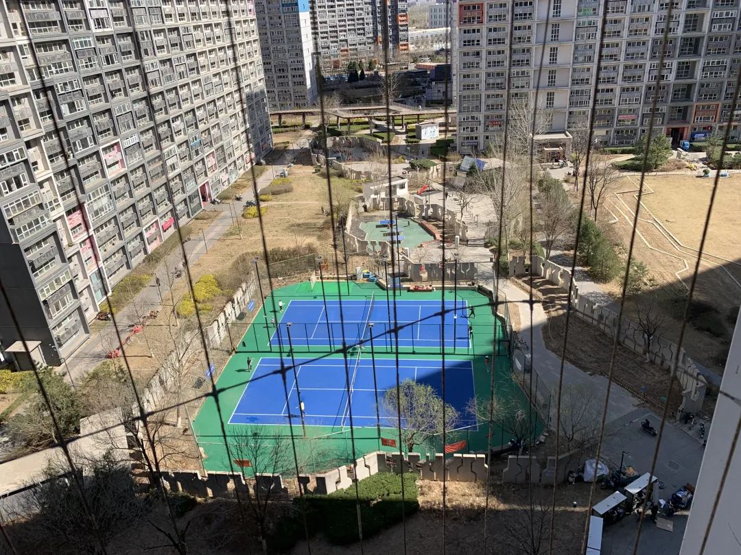 北漂神盘,北漂神片