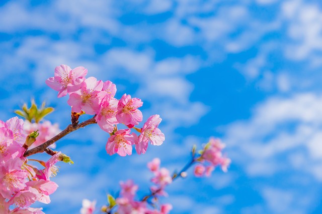 让你身材变得特别好的规律作息,怎么才能让自己的身材变得更好