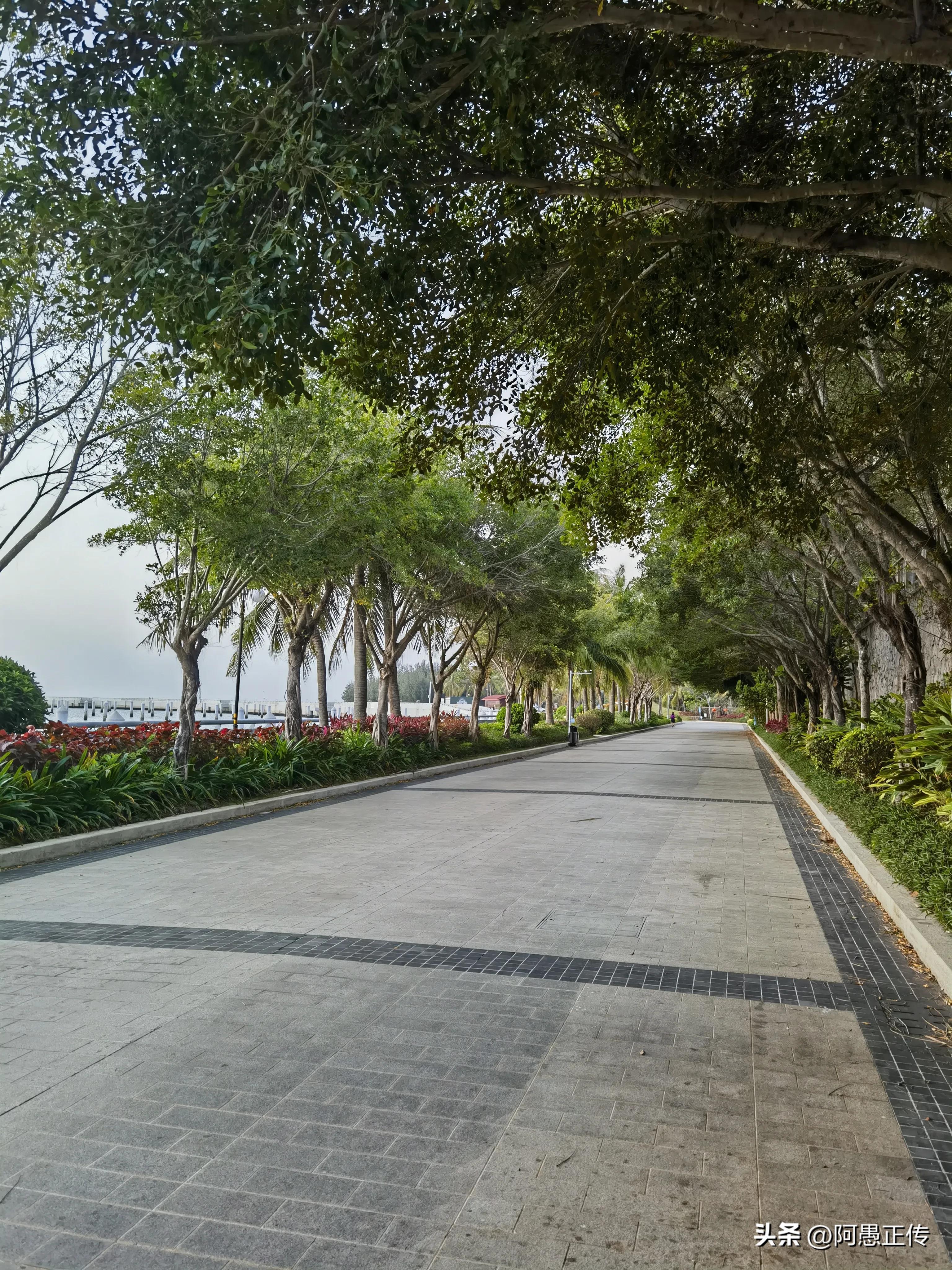 您赞同与子女一起生活吗