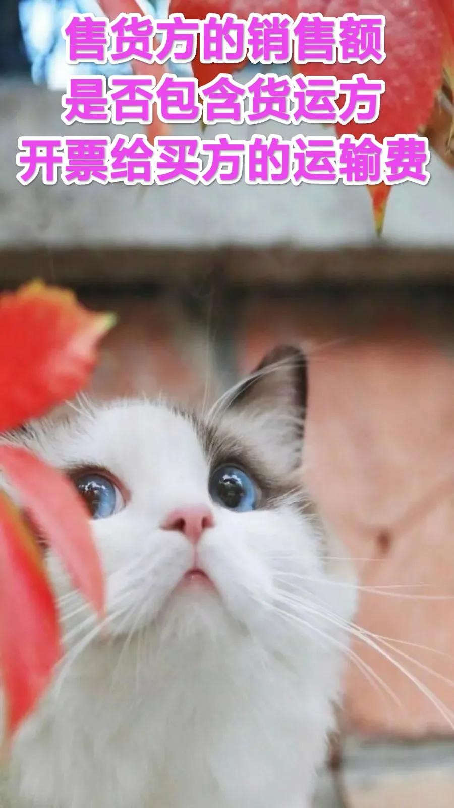 应税货物销售额包含未开票金额吗,纳税咨询包括什么