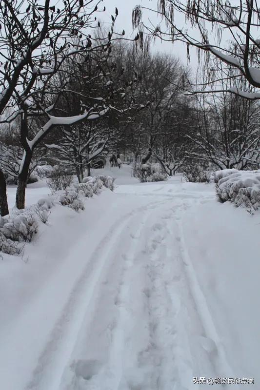 重阳节下雨代表什么,重阳节出现降雨有什么预兆