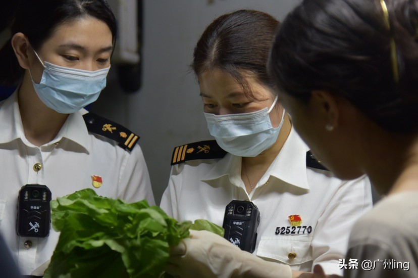 rcep生效实施区域内贸易投资大增,rcep带来货物流通新方向