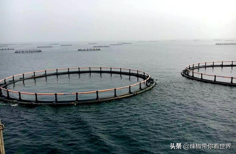 海南岛风景临高,海南临高海边哪里最好