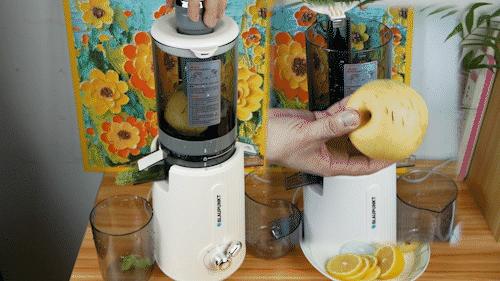 蓝宝的冰淇淋机,德国蓝宝榨汁杯冰淇淋