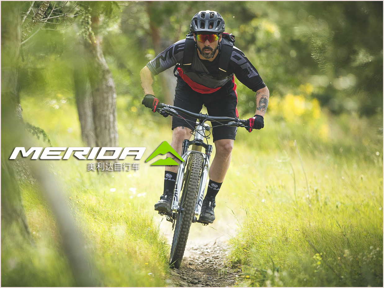 美利达挑战者900老款,美利达挑战者900过时了吗