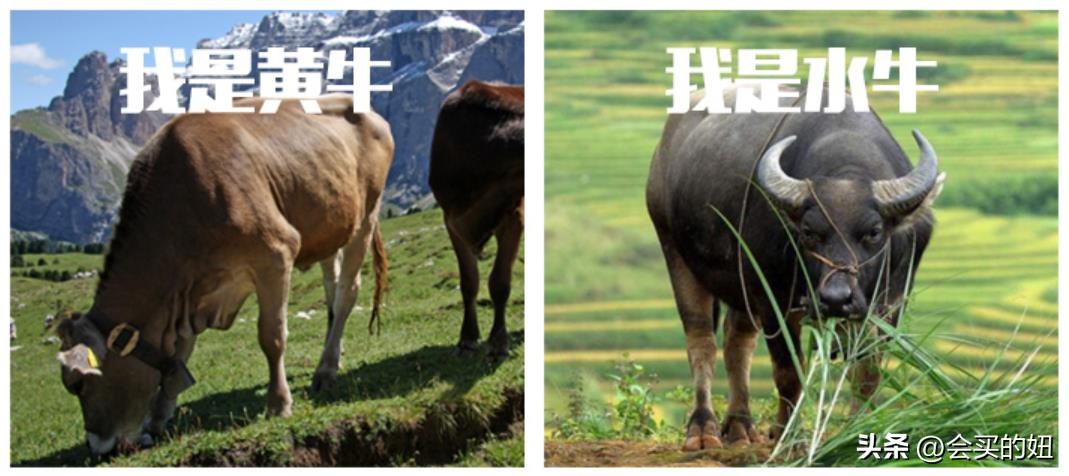 真皮沙发哪家品牌好性价比高,十大口碑最好的真皮沙发