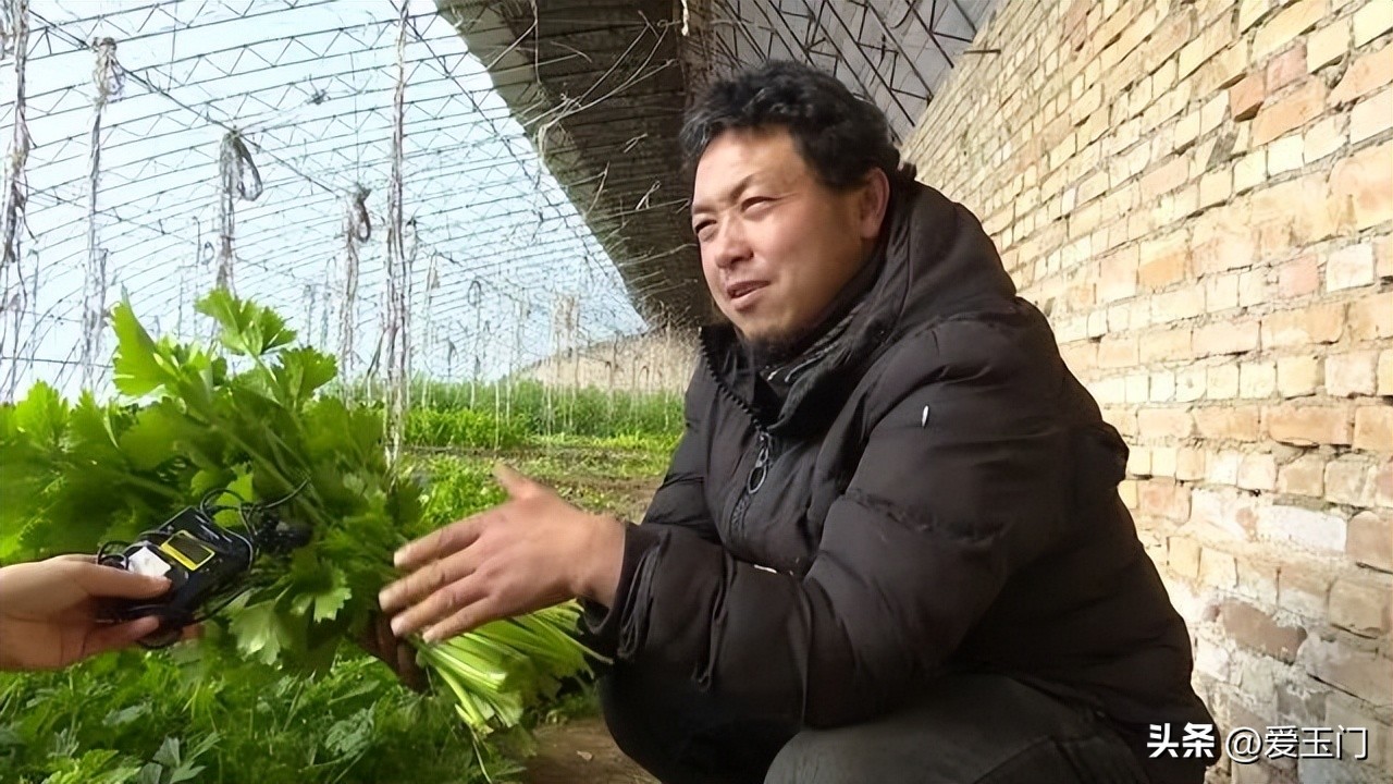 向新而行最新视频,向心而行迎光出发